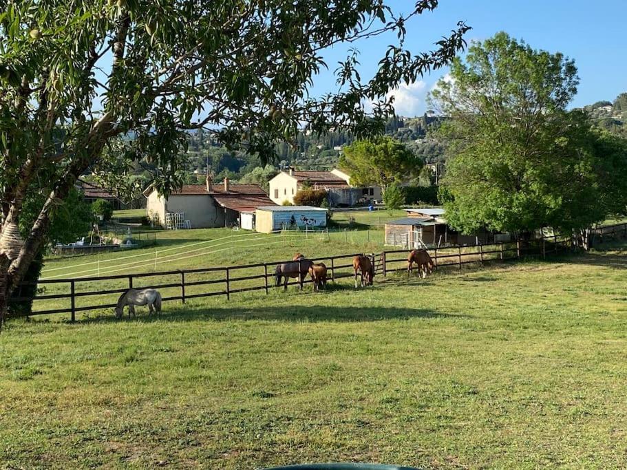 La Bastide De Jean Maison De Charme Dans Un Domaine Equestre Prive Grasse Ngoại thất bức ảnh